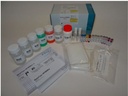(mb HAIN LPA) GENOTYPE, MTBDRsl, ver. 2.0, 1 test, 31796A