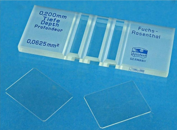 COUNTING CHAMBER, FUSCH-ROSENTHAL, simple grid