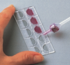 COUNTING CHAMBER, GLASSTIC, plastic, s.u., 1000 tests