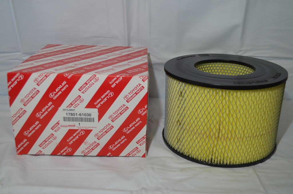 AIR FILTER ELEMENT, dry, washable, HZJ78/79
