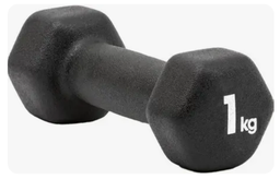 [ALIFEXCID01] DUMBBELL, 1kg, per piece