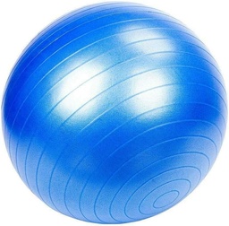 [ALIFEXCII50] BALLON DE FITNESS, Ø 50cm