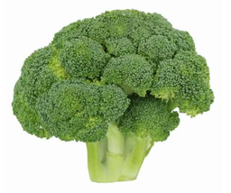 [AFOOVEGFKNL] BROCOLI frais, par kg